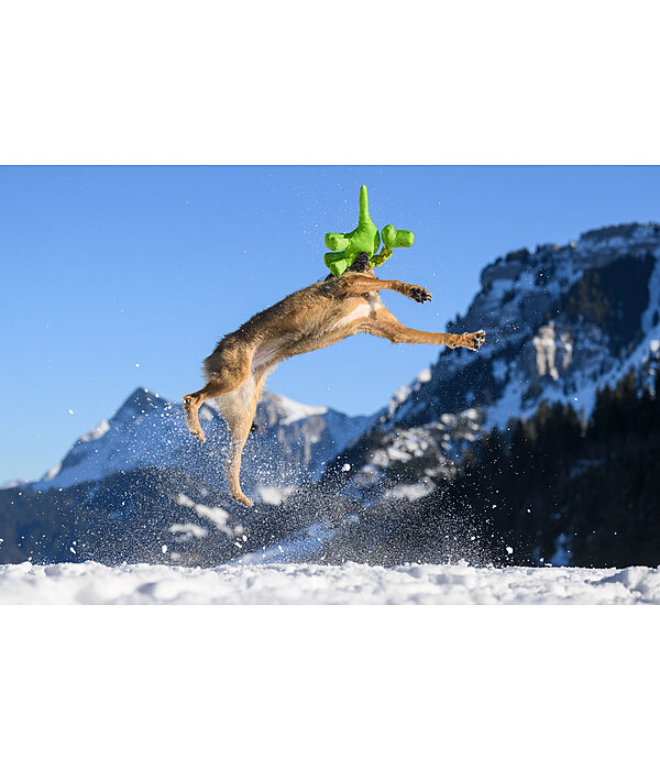 Hundespielzeug Strong Dino