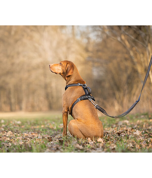 Hundegeschirr Comfort Fit