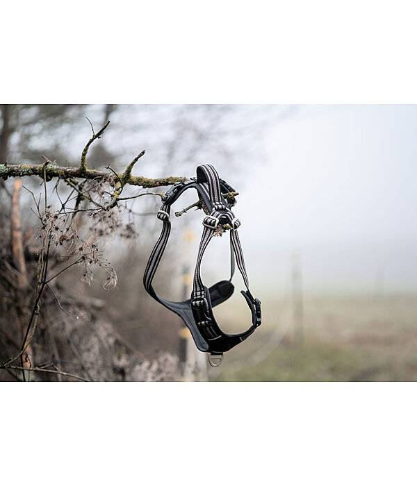 Hundegeschirr Comfort Fit