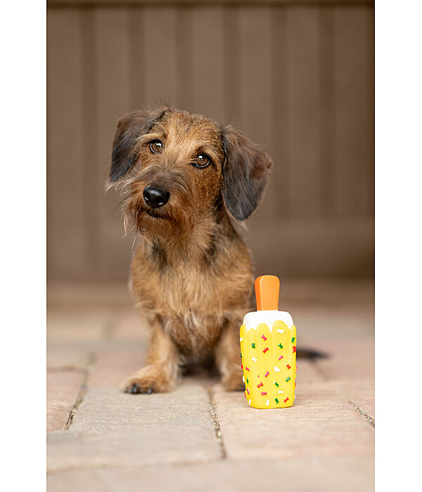 Hundespielzeug Eis am Stiel mit Quietsche