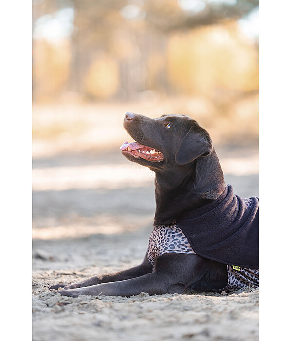 Hunde-Unterzieh- und Fleecepullover Basic