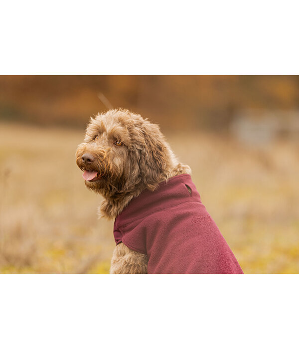 Hunde-Unterzieh- und Fleecepullover Basic