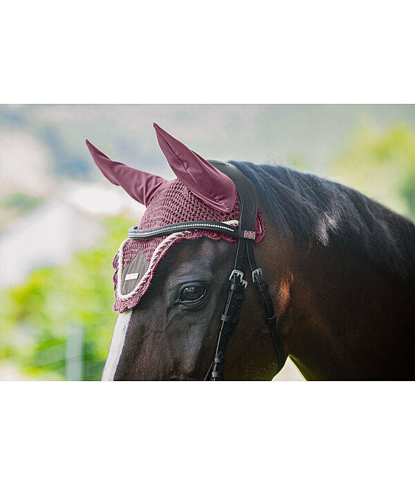 Fliegenhaube Swiss Design