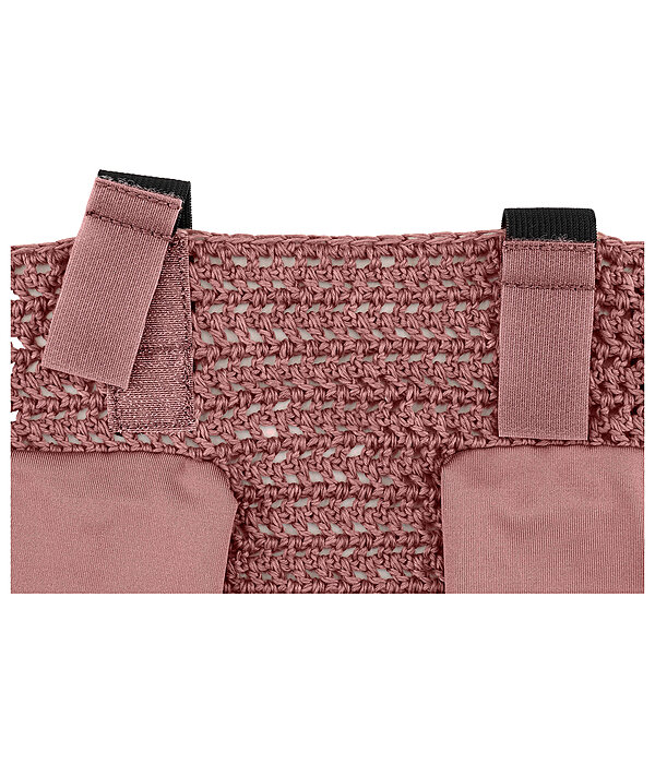 Fliegenhaube Brilliant