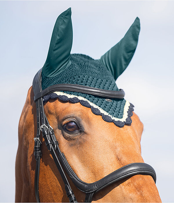 Fliegenhaube Primary