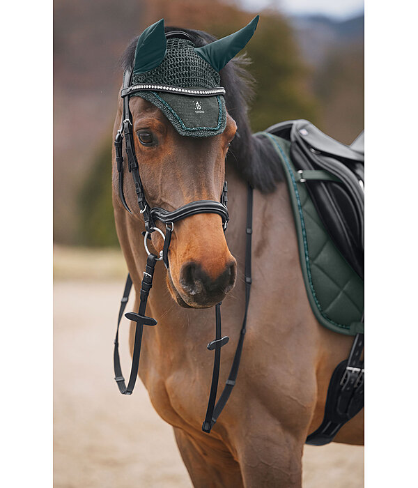 Fliegenhaube Night Sky