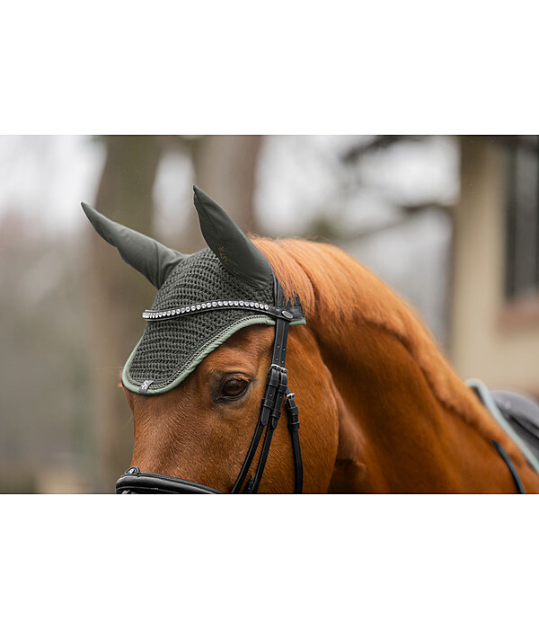 Fliegenhaube Glimmering