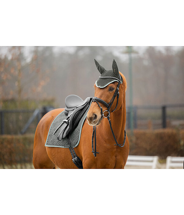 Fliegenhaube Glimmering