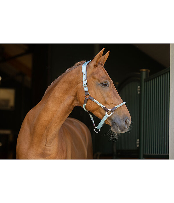 Anatomisches Halfter Sophistication