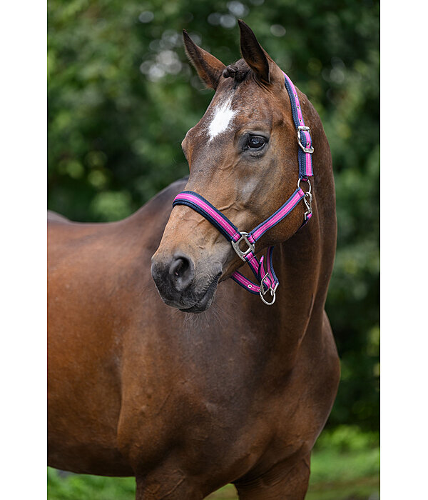 Halfter Swiss Design II