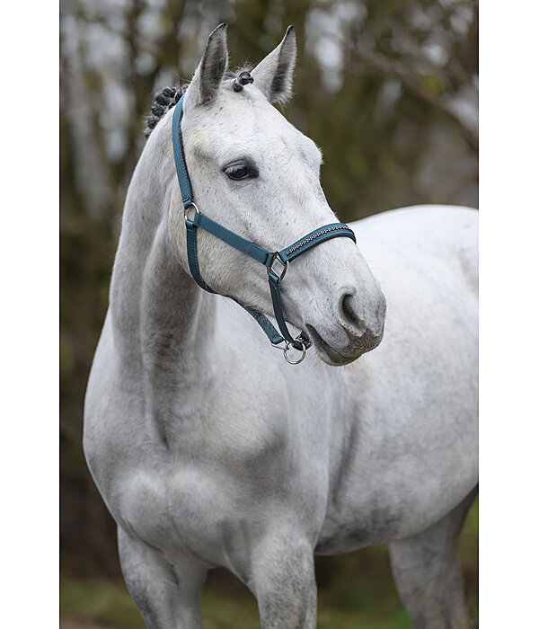 Halfter Twinkle