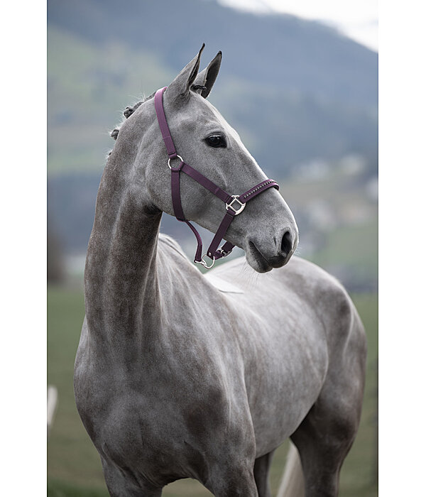 Halfter Twinkle