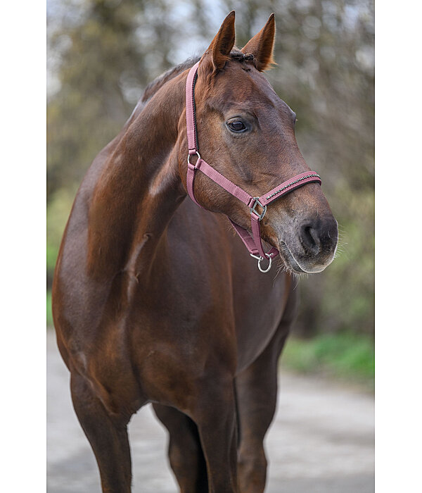 Halfter Twinkle