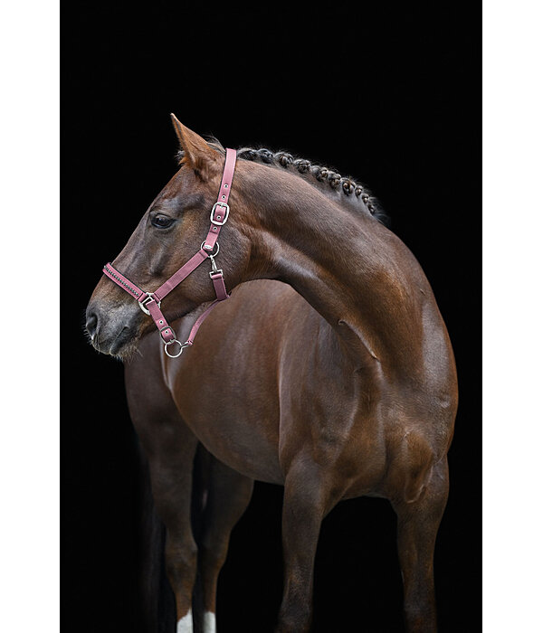 Halfter Twinkle