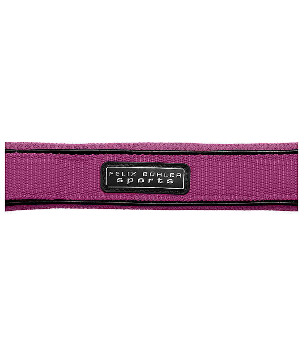 Halfter Mesh-Technology