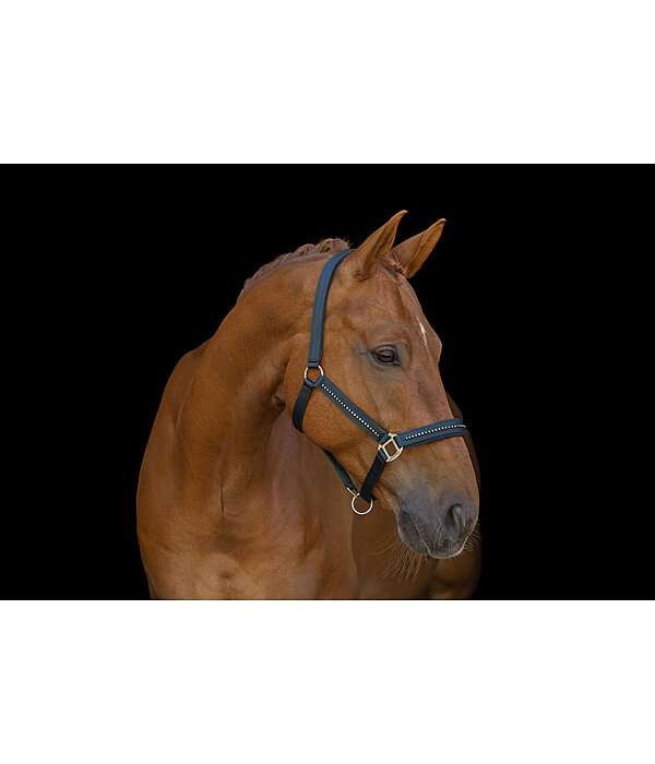 Halfter Twotone & Crystal