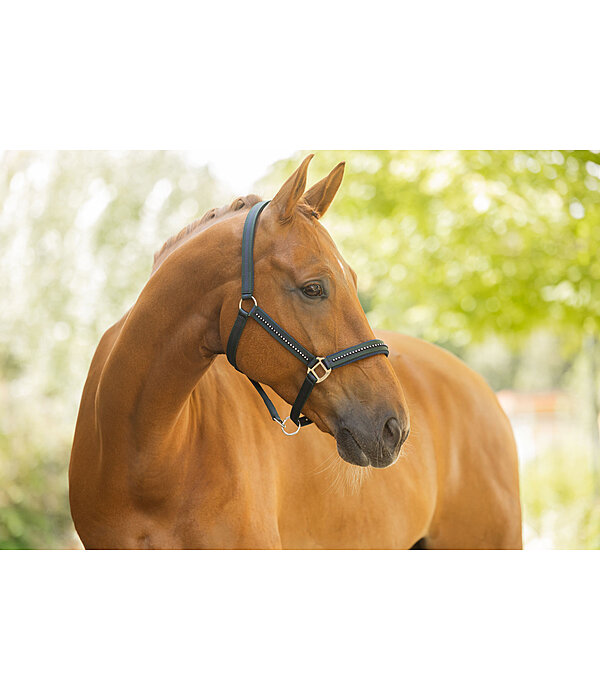 Halfter Twotone & Crystal