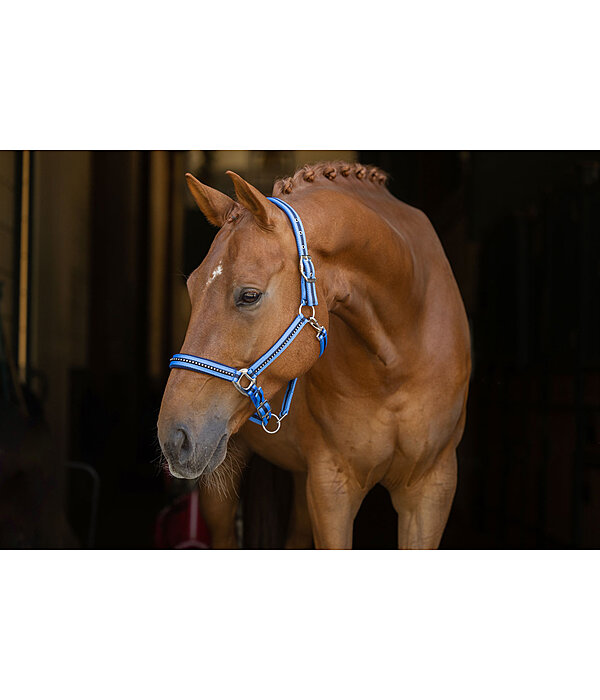 Halfter Twotone & Crystal