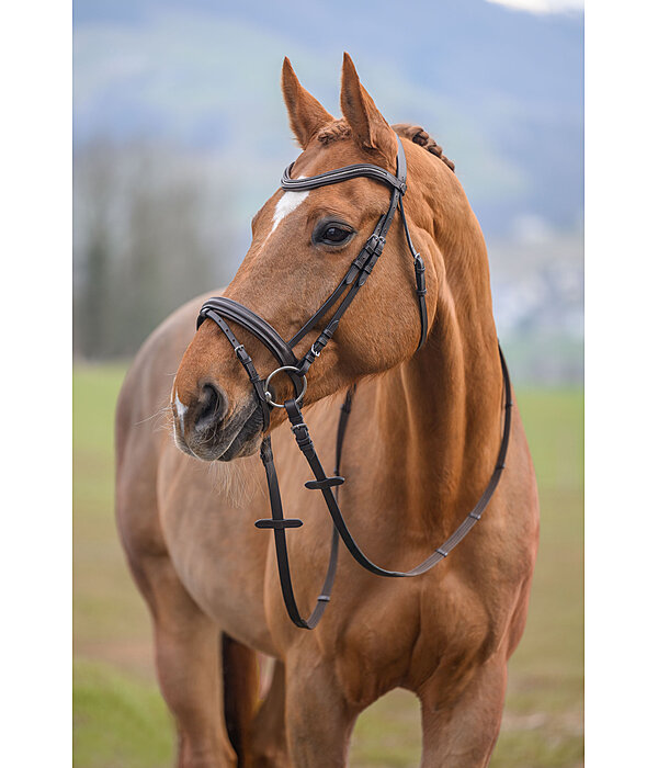 Zaum Beauty