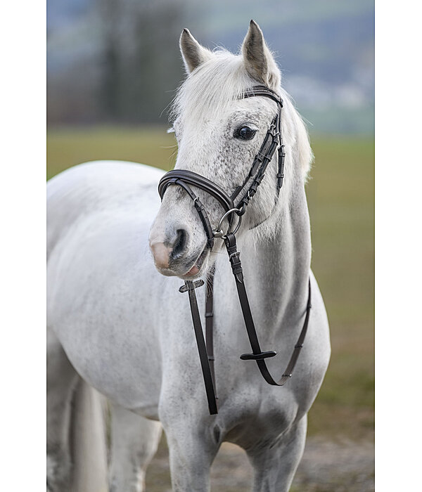 Zaum Beauty