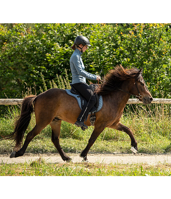 Arbeitstrense Karabiner