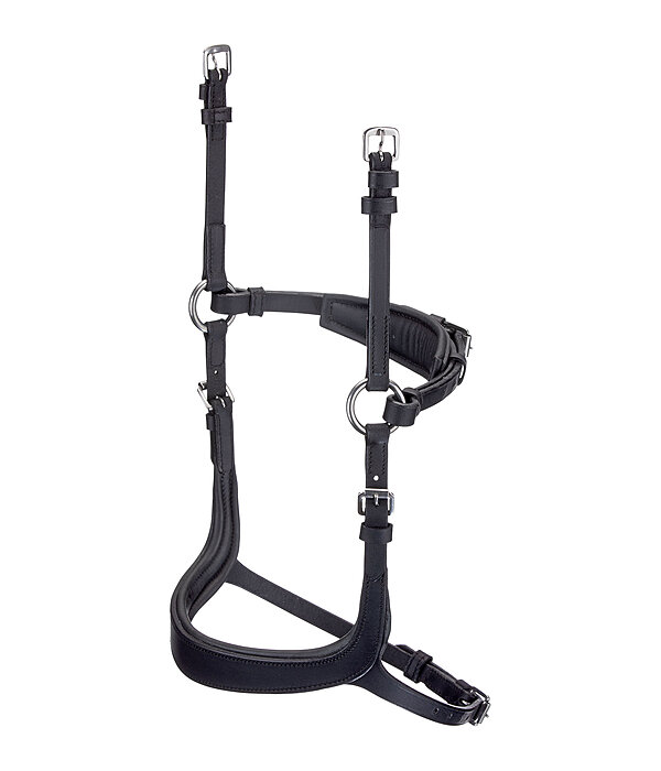 Mix & Match Ge�ltes Leder-Reithalfter Revolution