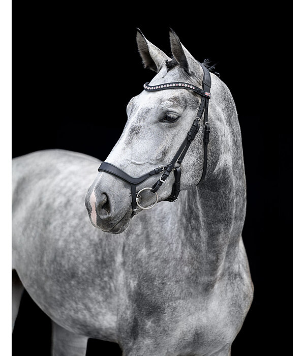 Mix & Match Ge�ltes Leder-Reithalfter Revolution