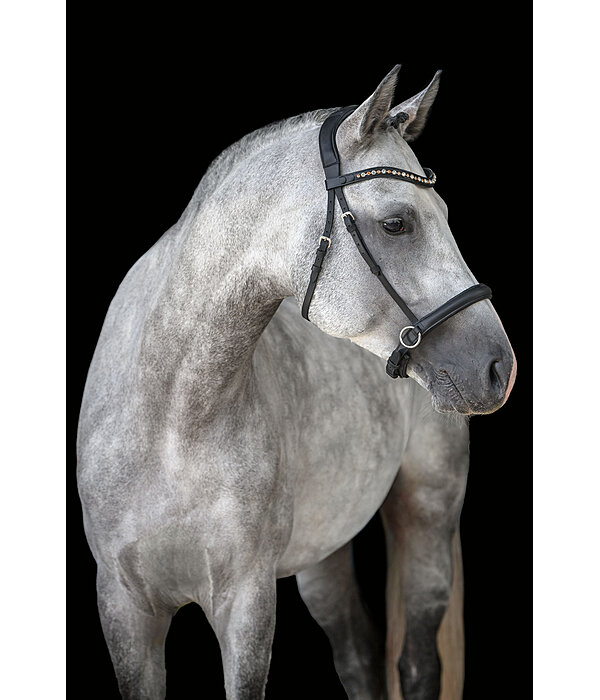 Mix & Match Geltes Leder-Genickstck Gebisslos