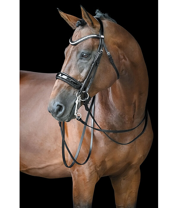 Kandarenzaum Dressage II