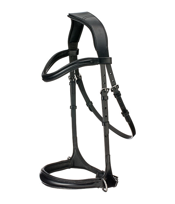Gebissloser Zaum 5 in 1
