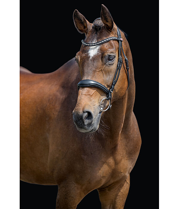 Zaum Alaska mit abnehmbarem Sperrriemen