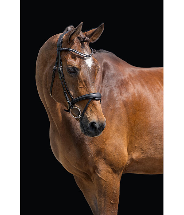 Zaum Alaska mit abnehmbarem Sperrriemen