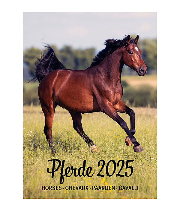 Pferdekalender 2026