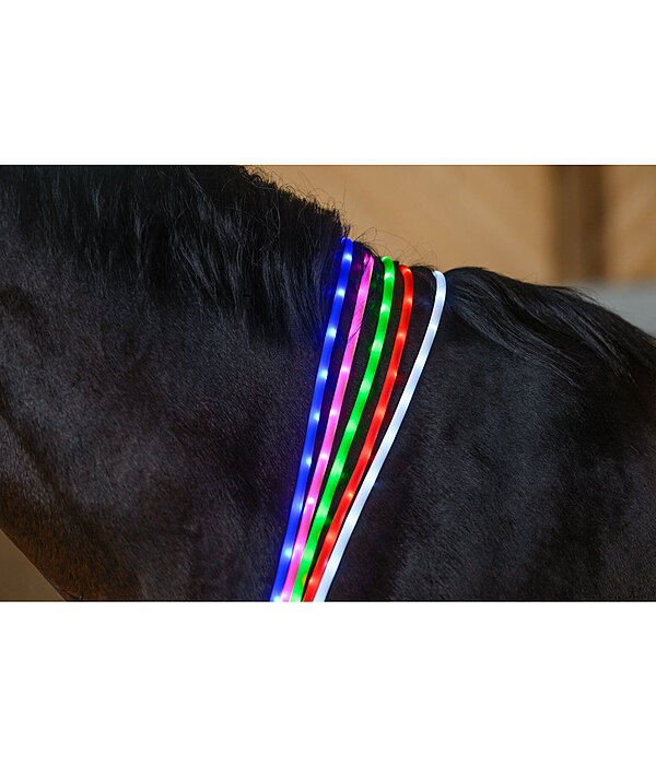 LED-Leuchthalsriemen für Pferde