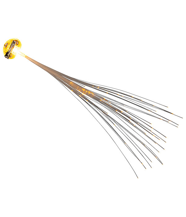 LED-Schweif- und Mhnen-Clip