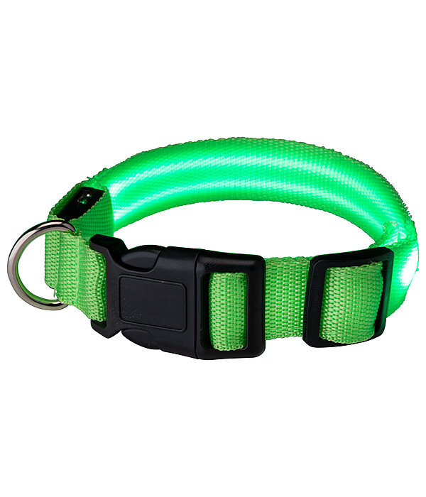 LED-Hundehalsband Loom