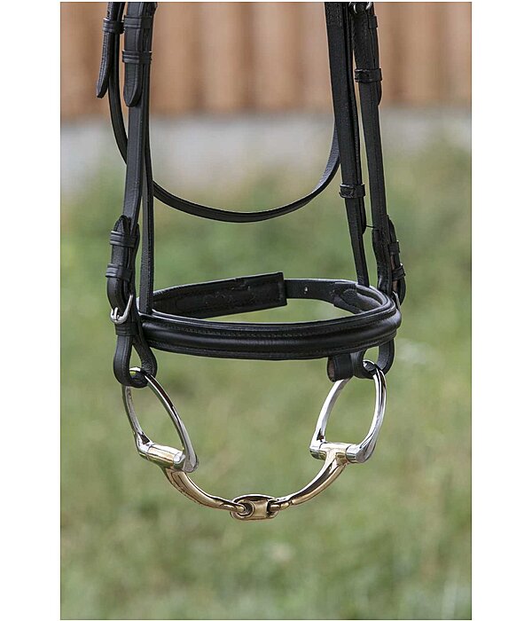 D-Ring-Trense Anatomica doppelt gebrochen Strke 16 mm