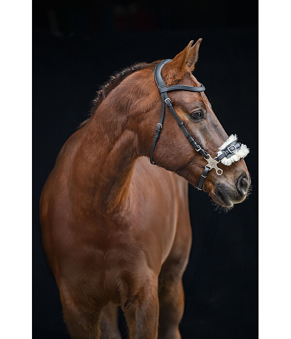 Hackamore mit Fellpolster
