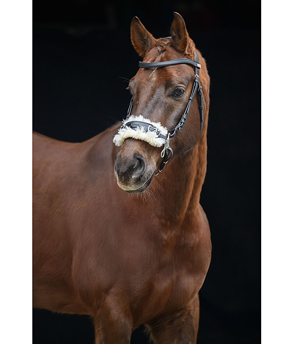 Hackamore mit Fellpolster