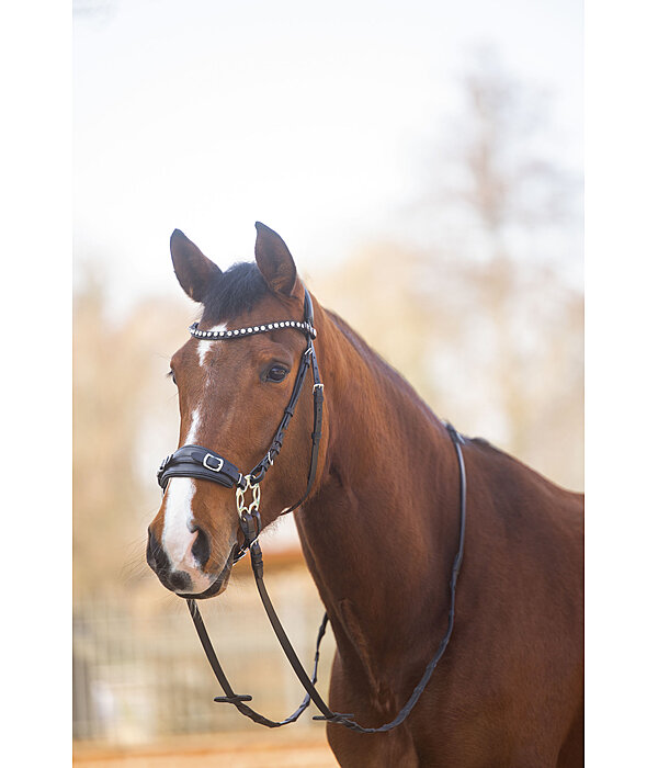 Gl�cksrad II