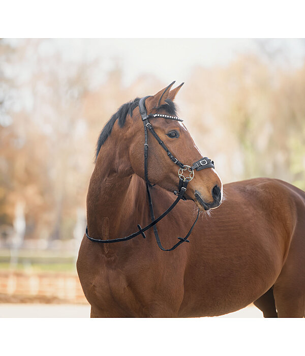 Gl�cksrad II