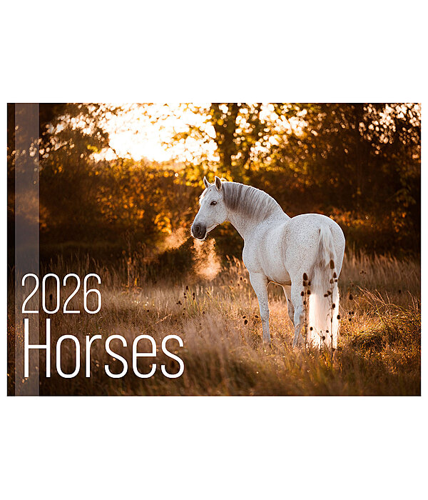 Horses Kalender 2026