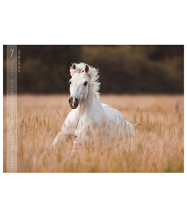 Horses Kalender 2026