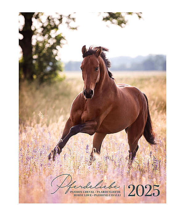 Pferdeliebe Kalender 2025