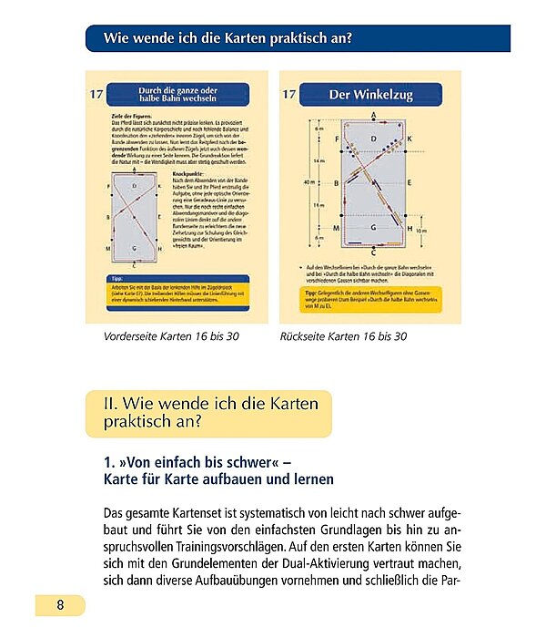 Geitners Dual-Kit + 30 Karten mit Parcours und Trainings-Tipps