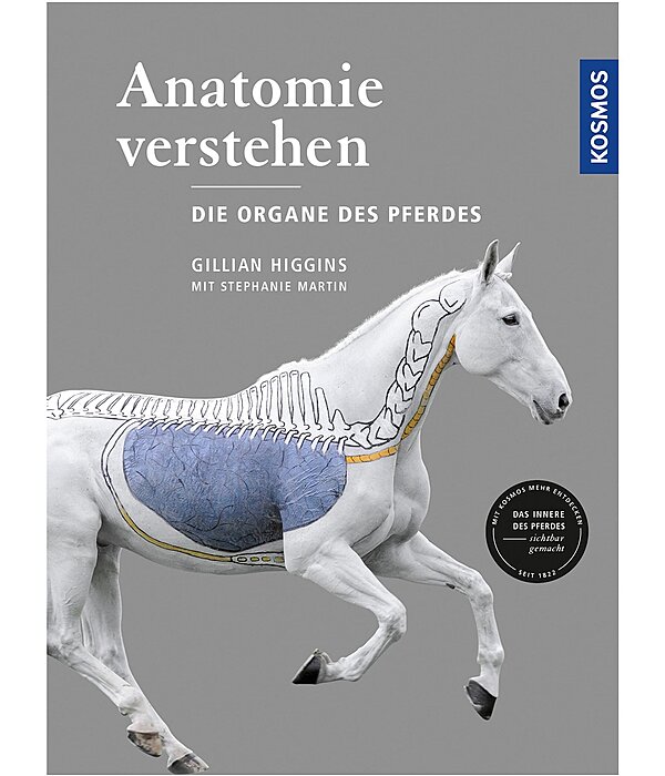 Anatomie verstehen - Die Organe des Pferdes