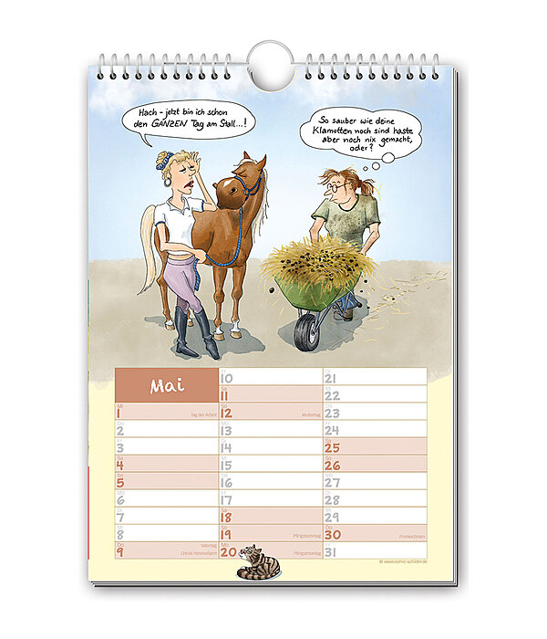 Geschichten vom Pferd - Comic Kalender 2026