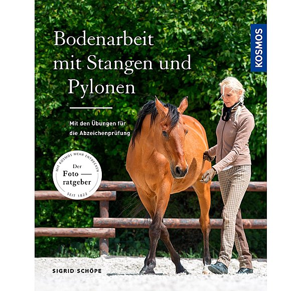 Bodenarbeit mit Stangen und Pylonen