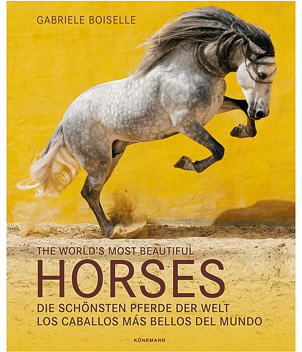 The world's most beautiful Horses /  Die schnsten Pferde der Welt