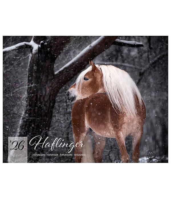 Haflinger Kalender 2025